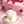 ゆうやんちゃん