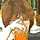 ken_low ken_low