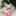 seli1025 seli1025