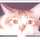 ねこむすめに