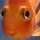 g0ldfish