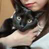 ただの猫好きさん