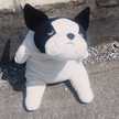 ぱぱぱぱーん！