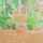 Kee_0110 Kee_0110