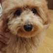 さっちょんぴー