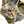 猫又りん