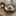 d_hiroko d_hiroko