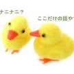 ワカメちゃん