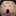 bigwabe73 bigwabe73