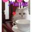 CafeManche