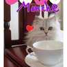 CafeManche