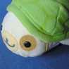 かめあざらし