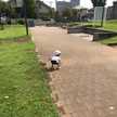 ぽたぁじゅ