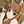 ♡Horo♡