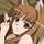 ♡Horo♡