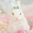 hinoko★