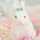 hinoko★ hinoko★