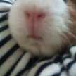 ミッキサック