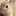 きゃなくま きゃなくま