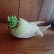 ゆーにｬﾝ
