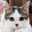 nyankapu