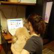 ユミママキッチン