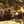 ちゅうたん2世