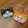 猫団子♡smkh