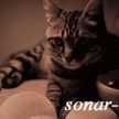 sonarcat