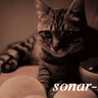 sonarcat