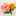 ひよひよ堂 ひよひよ堂