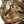 猫毛玉