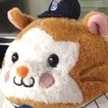 hamastar23