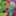 ぷよんぴー ぷよんぴー