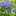 caraway0403 caraway0403