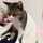 あおねこ※