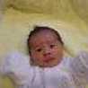 dede