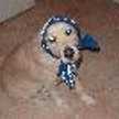 ホワイ亭