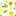 __sorai