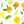 __sorai