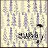 ＊sasa＊