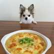 ♡マシェリ♡