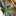りえたん614 りえたん614