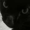 v_v0jiji