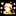 ★Rascal★ ★Rascal★