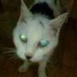 MEILIN