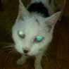 MEILIN