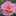 colorlink colorlink
