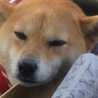 そらもこ