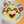 いちこねこ19